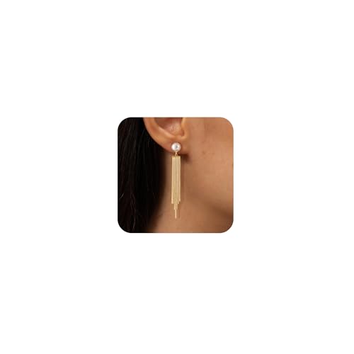 Robaice 14K Gold Plated Dangle Earrings for Women, Long Drop Earrings | Dainty Tassel Earrings Trendy, Hypoallergenic Dangling Lip Block Snake Chain, Threader Earrings for Women, Jewelry Gifts - color: Gold 1