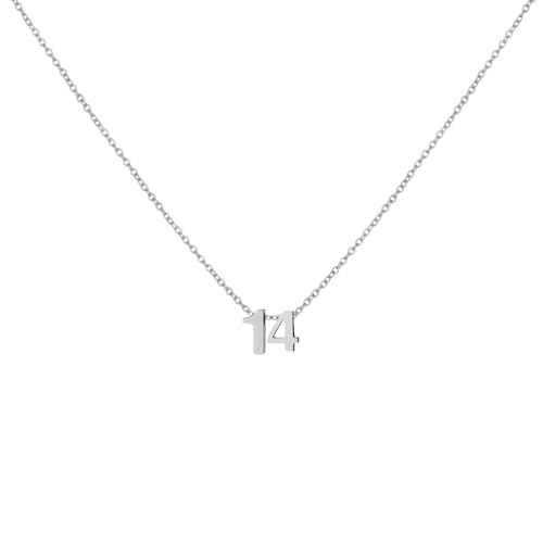 Number Necklace for Women Dainty 18K Gold Plated Pendant Necklace Charm Birth Month Personalized Jewelry Birthday Gift - color: SILVER, style: Number 14