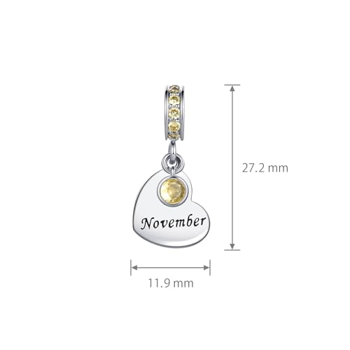 NARTGO January-December Birthstone Birthday Charm Heart Dangle Beads Jewelry Gift for Women Compatible with Pandora Bracelets & Necklaces - style: November Birthstone