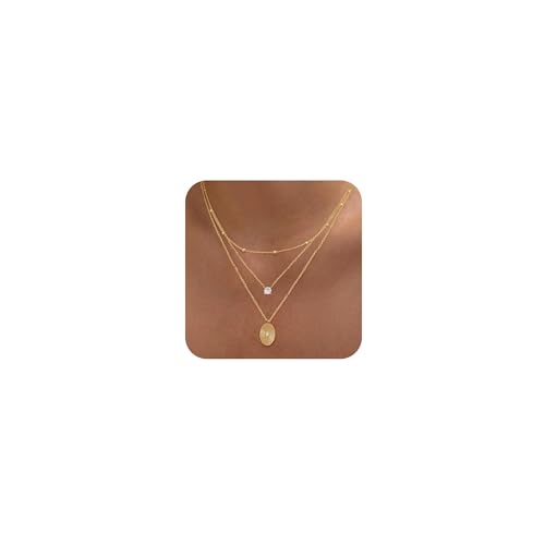 Layered Necklaces for Women - Dainty Necklace Stack 14K Gold Plated Layering Pendant Necklace Set Simple Gold Necklaces for Women Trendy Jewelry Gifts for Women - color: Gold-Set2