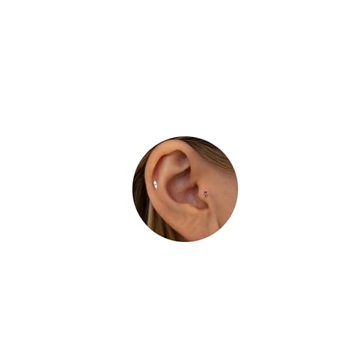 2 Pairs 20G/18G/16G Dainty Stud Earrings, Cubic Zirconia Screw Flat Back Drop Earrings & Tiny Birthstone Dangle Earrings - color: Duo- (January)- Garnet &CZ