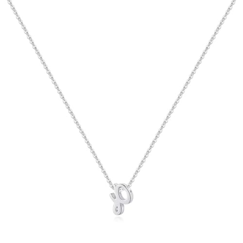 Memorjew 925 Sterling Silver Cursive Initial Necklace, Letter A-Z Necklace | 925 Sterling Silver Necklace, Dainty Letter Cursive Initial Necklaces for Women Trendy Jewelry, Birthday Gifts for Women Her - style: P-Silver
