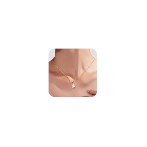 TIZU Initial Necklaces for Women - Dainty 14K Gold Plated Letter Pendant Trendy Personalized Initial A-Z Necklaces Jewelry Gift - color: Gold-C