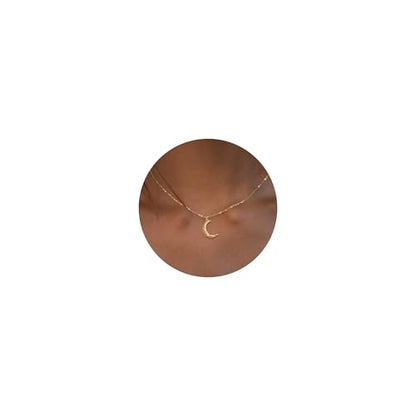 Valloey Rover Gold Necklaces for Women | Dainty 14K Gold/Sterling Silver Plated Cubic Zirconia Star Moon Pendant Necklaces Twist Rope Chain Simple Jewelry for Women - style: CZ-Moon