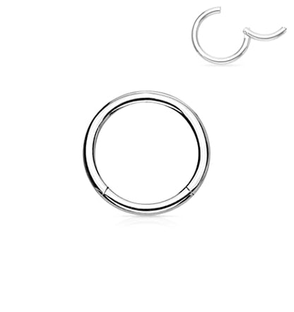 Forbidden Body Jewelry 316L Surgical Steel Hinged Seamless Nose Rings Hoop 14G 16G 18G, Diameter 6mm 8mm 10mm 12mm, Gold/Rose Gold/Silver/Black/Rainbow Colors. - style: 18g 6mm - Silver