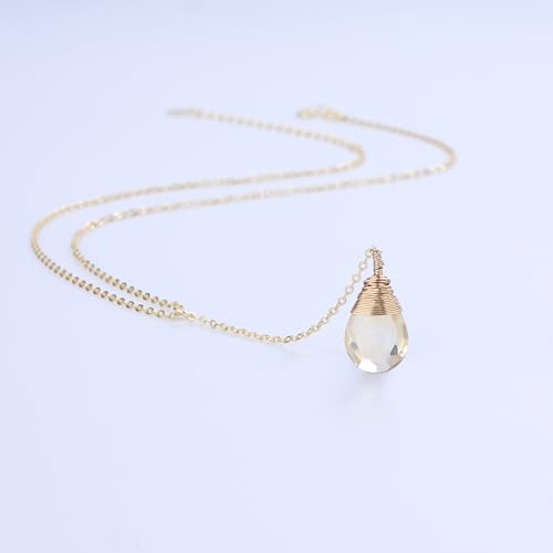 COAI 14K Gold Plated Sterling Silver Lariat Necklace for Women, Drop Dangle Trendy Y Necklace, Amethyst/Cirtine - color: Citrine