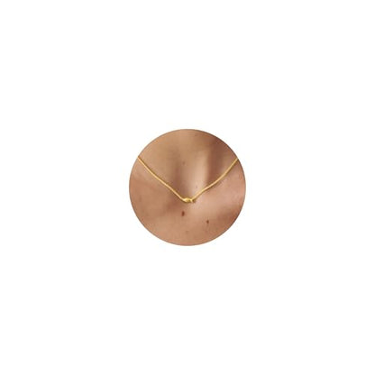 LLWOM Gold Necklace for Women-14k Gold Plated Infinity Necklace Star Of David Necklace Evil Eye Cross Pendants Heart Dainty Gold Necklace For Women - color: Gold -Fish
