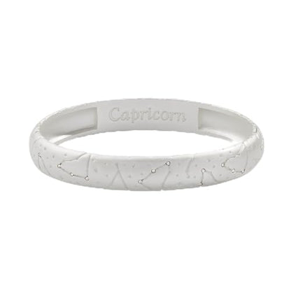 Alex and Ani Capricorn Zodiac Hinge Bangle - color: Silver