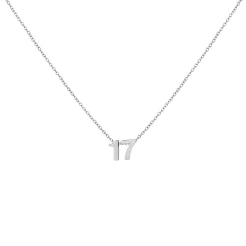 Number Necklace for Women Dainty 18K Gold Plated Pendant Necklace Charm Birth Month Personalized Jewelry Birthday Gift - color: SILVER, style: Number 17