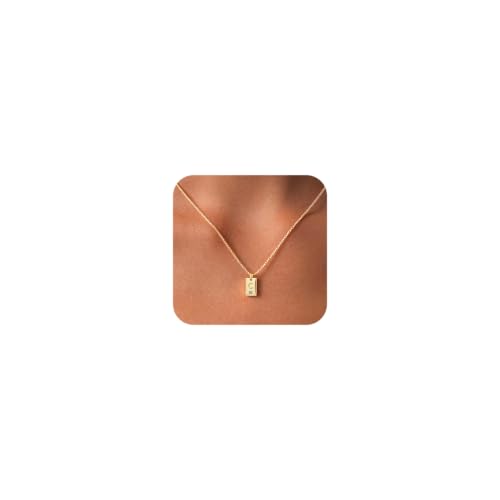 Initial Necklace for Women, Dainty 14K Letter Gold Necklace Choker Name Necklaces Simple custom Initial Necklaces for women Personalized gold Jewelry Gift - color: C
