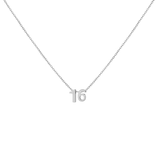 Number Necklace for Women Dainty 18K Gold Plated Pendant Necklace Charm Birth Month Personalized Jewelry Birthday Gift - color: SILVER, style: Number 16