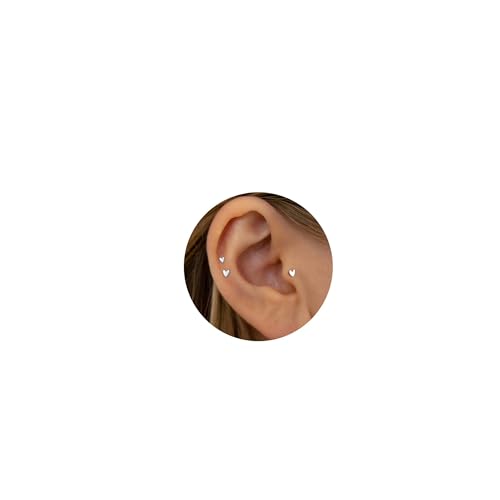 20G/18G/16G Titanium Flat Back Earrings, Threadless Nose Stud Tiny Stud Earrings, Cartilage Tragus Piercing Jewelry Conch Helix Stud - color: Heart (silver 3pcs), size: 16ga(1.2mm)