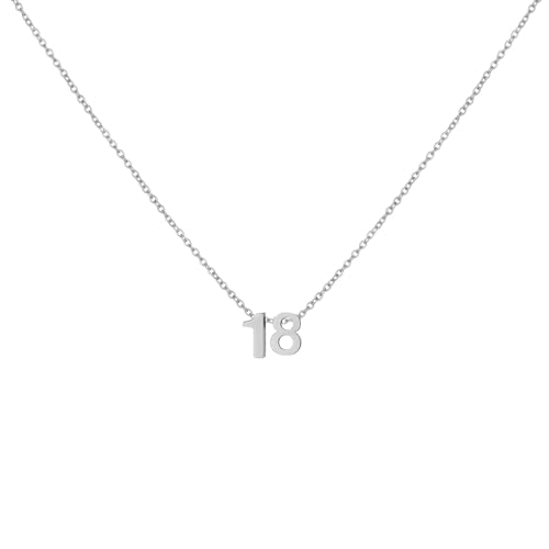 Number Necklace for Women Dainty 18K Gold Plated Pendant Necklace Charm Birth Month Personalized Jewelry Birthday Gift - color: SILVER, style: Number 18