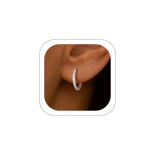 FaithHeart 925 Sterling Silver Post Small CZ Huggie Hoop Earrings for Women | Hypoallergenic Small Cubic Zirconia Hoop Earrings, Silver/Black/Gold/Rose Gold Huggie Earrings, 8-20mm with Gift Box - color: Silver, size: 12mm