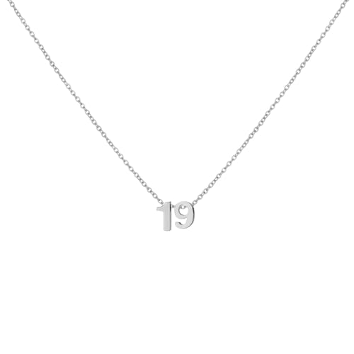 Number Necklace for Women Dainty 18K Gold Plated Pendant Necklace Charm Birth Month Personalized Jewelry Birthday Gift - color: SILVER, style: Number 19