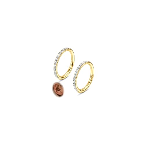 FASACCO 20G 18G 16G Cartilage Hoop Earring 316L Surgical Steel Silver Huggie Hoop Earrings Hypoallergenic Hinged Segment Rings Septum Nose Hoops Daith Conch Helix Tragus Piercing Jewelry 6mm/8mm/10mm - style: Gold-16G-10MM