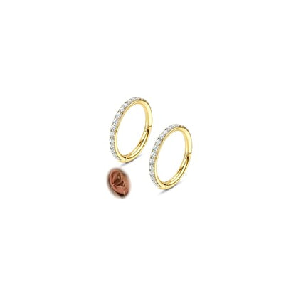 FASACCO 20G 18G 16G Cartilage Hoop Earring 316L Surgical Steel Silver Huggie Hoop Earrings Hypoallergenic Hinged Segment Rings Septum Nose Hoops Daith Conch Helix Tragus Piercing Jewelry 6mm/8mm/10mm - style: Gold-16G-10MM