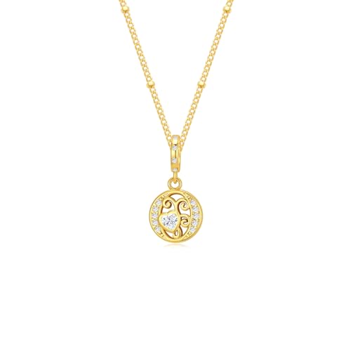 TIZU Initial Necklaces for Women - Dainty 14K Gold Plated Letter Pendant Trendy Personalized Initial A-Z Necklaces Jewelry Gift - color: Gold-O