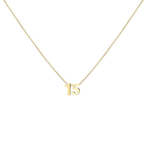 Number Necklace for Women Dainty 18K Gold Plated Pendant Necklace Charm Birth Month Personalized Jewelry Birthday Gift - color: GOLD, style: Number 15