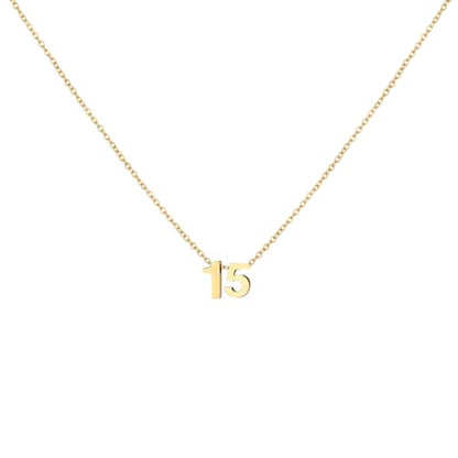Number Necklace for Women Dainty 18K Gold Plated Pendant Necklace Charm Birth Month Personalized Jewelry Birthday Gift - color: GOLD, style: Number 15