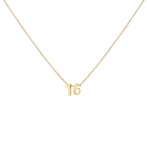 Number Necklace for Women Dainty 18K Gold Plated Pendant Necklace Charm Birth Month Personalized Jewelry Birthday Gift - color: GOLD, style: Number 16