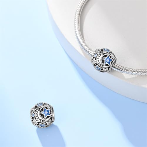 Star Moon 925 Sterling Silver Birthstone Charm for Bracelet Women Jewelry - color: December