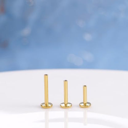 limerencia 16G/18G Hypoallergenic Internal Threaded Titanium Bar Post Replacement,Flat Back Stud Earrings Post Medusa Helix Couch Labret Bar for Women Men Sensitive Ears(A Pair) - color: gold tone, size: 16G-6mm
