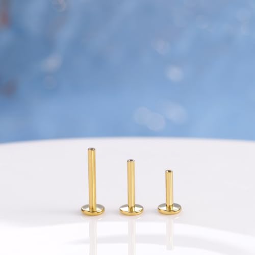 limerencia 16G/18G Hypoallergenic Internal Threaded Titanium Bar Post Replacement,Flat Back Stud Earrings Post Medusa Helix Couch Labret Bar for Women Men Sensitive Ears(A Pair) - color: gold tone, size: 16G-8mm