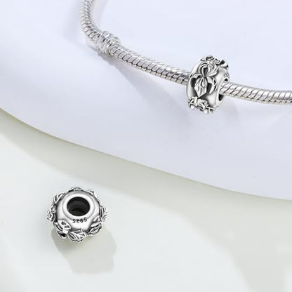 Spacer Stopper Beads for Bracelets & Necklaces, 925 Sterling Silver Beads | Smooth & Pave Cubic Zirconia (White, Blue, 18K Gold Plated) | Anti-Slide Separator Charms S925 Women Jewelry - color: 2Pcs Iris Spacer