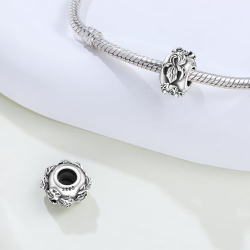 Spacer Stopper Beads for Bracelets & Necklaces, 925 Sterling Silver Beads | Smooth & Pave Cubic Zirconia (White, Blue, 18K Gold Plated) | Anti-Slide Separator Charms S925 Women Jewelry - color: 2Pcs Iris Spacer