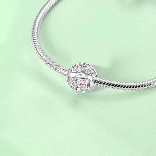 925 Sterling Silver Lucky Clover Birthstone Charms for Bracelets Dangle Pendant with 5A Cubic Zirconia Compatible Pandora Bracelets, Ladies Birthday Gift - style: 6-June