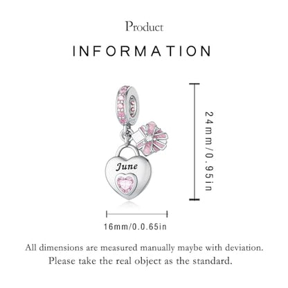 LNQOBU 925 Sterling Silve Heart-shaped Birthstone Charm for Bracelets, With 5A Cubic Zirconia Birthday Charms Dangle Pendant Bead for Pandora Bracelets - color: F-June