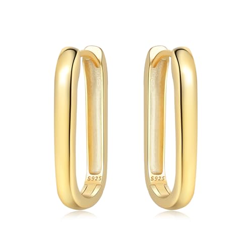 Floral Hoop Earrings 925 Sterling Silver with 14K Gold Plating – Lightweight CZ Flower Hoops | Hypoallergenic Jewelry for Women | Gift Box + Polishing Cloth - color: A-24mm gold earrings