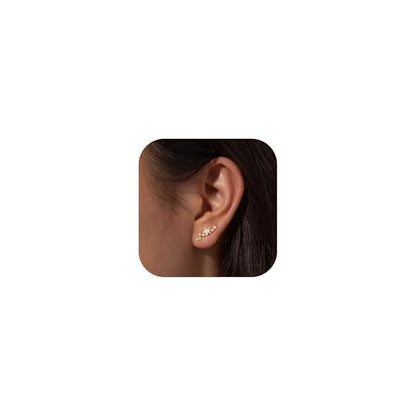 Robaice Cartilage Climber Earrings for Women，14K Gold Plated Helix Stud | Trendy Cluster Earrings, CZ Stud Earring, Tragus Conch Daith Piercing, Ear Crawer,Hypoallergenic Jewelry Gift for Women - color: E-Gold Star