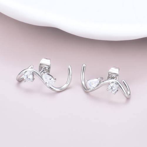 EPIRORA Earrings for Women Trendy, Dainty Geometric S-Shape Cubic Zirconia Stud Earrings for Women Hypoallergenic, Unique Jewelry Gift for Her on Valentine's Day, Birthday, Party - Silver & Gold - style: Silver