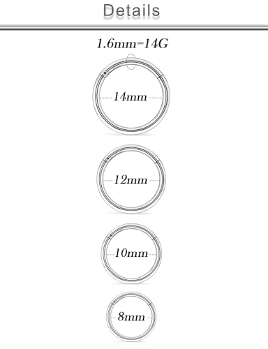 20G 18G 16G 14G 12G 10G Surgical Steel Hinged Clicker Segment Nose Rings Hoop Lip Rings Helix Cartilage Daith Tragus Sleeper Earrings Body Piercing for Women Men 6mm 8mm 10mm 12mm 14mm 16mm - color: Silver-14G（1.6mm)-Inner Diameter: 8mm 10mm 12mm 14mm