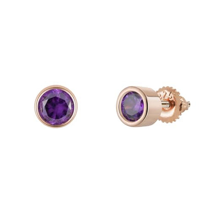Bolenvi Birthstone Crystal Stud Earrings, 925 Sterling Silver Back Posts, Small Stud Earrings for Women and Men - color: February Amethyst Birthstone