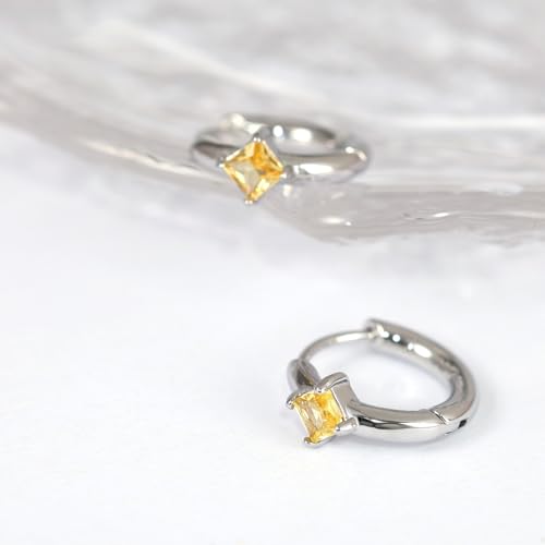 316L Surgical Steel Birthstone Hoop Earrings for Women | Lightweight, 5A Cubic Zirconia, Hypoallergenic, Lead & Nickel Free, 8mm Huggie Hoops - color: Silver: 11. November (Citrine)