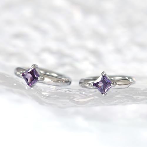 316L Surgical Steel Birthstone Hoop Earrings for Women | Lightweight, 5A Cubic Zirconia, Hypoallergenic, Lead & Nickel Free, 8mm Huggie Hoops - color: Silver: 02. February (Amethyst)