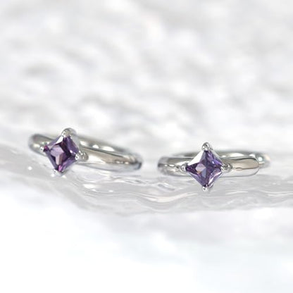 316L Surgical Steel Birthstone Hoop Earrings for Women | Lightweight, 5A Cubic Zirconia, Hypoallergenic, Lead & Nickel Free, 8mm Huggie Hoops - color: Silver: 02. February (Amethyst)