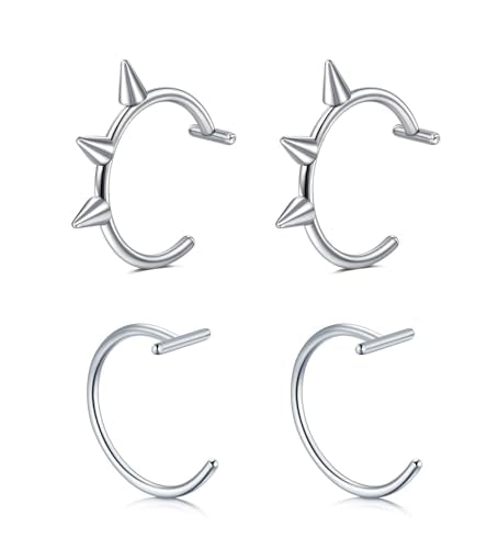 QWALIT Fake Nose Ring Fake Lip Piercing Fake Lip Ring Fake Nose Ring Hoop Fake Snake Bites Fake Lip Piercings Faux Lip Rings Fake Nose Piercing Clip on Nose Ring Spring - color: D1-2 styles-silver