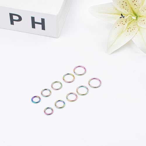 LEE&RO 16G 6MM 7MM 8MM 9MM 10MM Hinged Clicker Septum Rings 16G Nose Hoop Tragus Helix Cartilage Hoop Earrings - color: rainbow