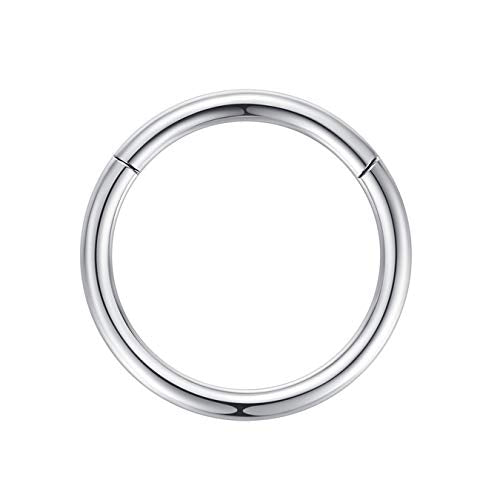ORANGELOVE Hypoallergenic Nose Rings 20G 18G 16G 14G 12G 10G 8G 316l Surgical Steel Septum Jewelry Hinged Segment Ring Body Piercing Nose Hoop Lip Rings Nose Helix Cartilage Rook Earrings - color: Silver, size: 1pc 12 Gauge 12mm