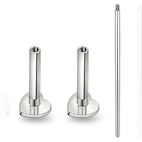 limerencia 16G/18G Hypoallergenic Internal Threaded Titanium Bar Post Replacement,Flat Back Stud Earrings Post Medusa Helix Couch Labret Bar for Women Men Sensitive Ears(A Pair) - color: silver heart, size: 16G-8mm
