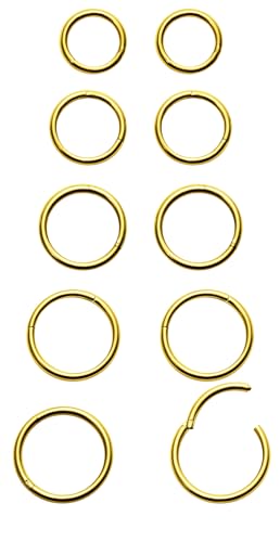 10PCS 20G/18G Surgical Steel Hinged Clicker Segment Nose Rings Hoops Septum Lip Ring Hoop Cartilage Tragus Helix Sleeper Earrings Piercing Jewelry for Women Men 6mm 7mm 8mm 9mm 10mm - color: 18g,6/7/8/9/10mm,goldtone