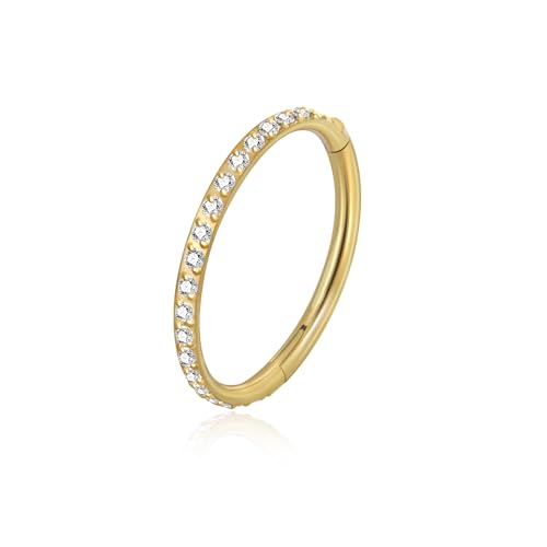 Lantine G23 Titanium Nose Rings Hoops Seamless Clicker Cz Nose Septum Piercings Rings Cute Diamond Hinged 16g 20g Cartilage Conch Daith Helix Tragus Piercing Jewelry - color: Gold, size: 20g 10mm
