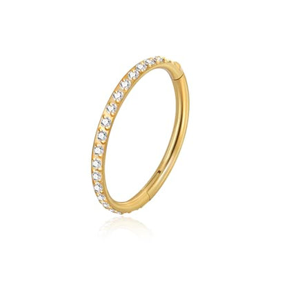 Lantine G23 Titanium Nose Rings Hoops Seamless Clicker Cz Nose Septum Piercings Rings Cute Diamond Hinged 16g 20g Cartilage Conch Daith Helix Tragus Piercing Jewelry - color: Gold, size: 20g 10mm
