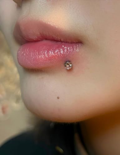 18G 16G 14G Lip Labret Medusa Nose Rings Studs Flat Back Earrings Internally Threaded 316L Surgical Steel Cartilage Tragus Helix Conch Earrings Piercing Jewelry for Women Men 6mm 8mm 10mm - color: 16G - Silver Tone-6/8/10mm Bar