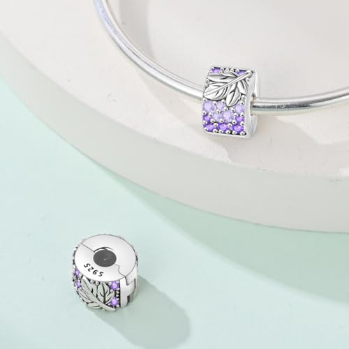 925 Sterling Silver Stopper Clip Charms for Bracelet Necklace Spacer Beads with 5A Cubic Zirconia Mother's Day Christmas DIY Gift for Women(2PCS) - style: Harvest Grapes