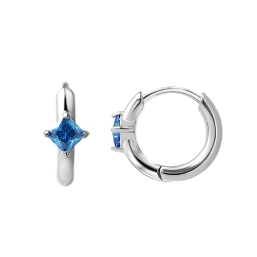 316L Surgical Steel Birthstone Hoop Earrings for Women | Lightweight, 5A Cubic Zirconia, Hypoallergenic, Lead & Nickel Free, 8mm Huggie Hoops - color: Silver: 12. December (Tanzanite)